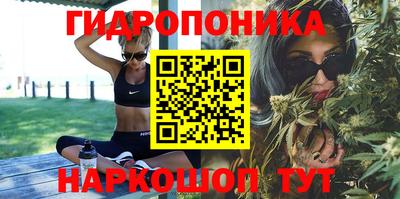 сатива Кингисепп