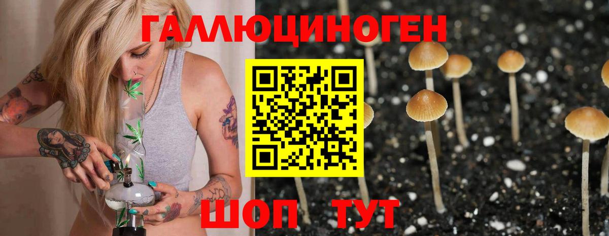 Звенигород  Галлюциногенные грибы Psilocybe  Псилоцибиновые грибы Magic Shrooms  Вход с VPN 